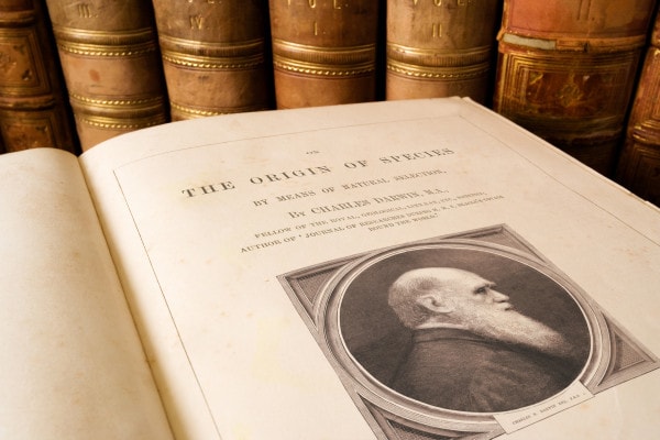 Charles Darwin: riassunto della vita e teoria dell'evoluzione