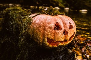 Set horror per decorazioni di Halloween con oltre 30 parti per casa tavola e giardino 
