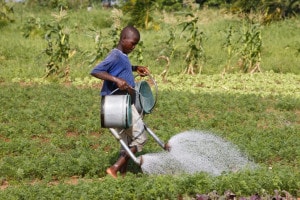 Giovane contadino togolese