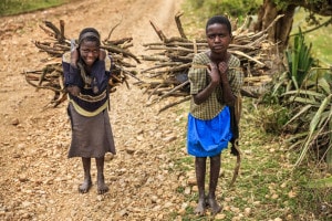 Giovani ragazze che trasportano legna. Kenya meridionale
