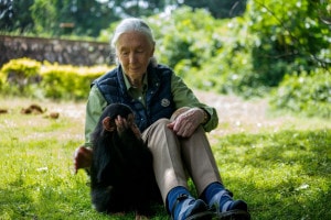 Jane Goodall. Il 9 giugno 2018 a Entebbe, in Uganda