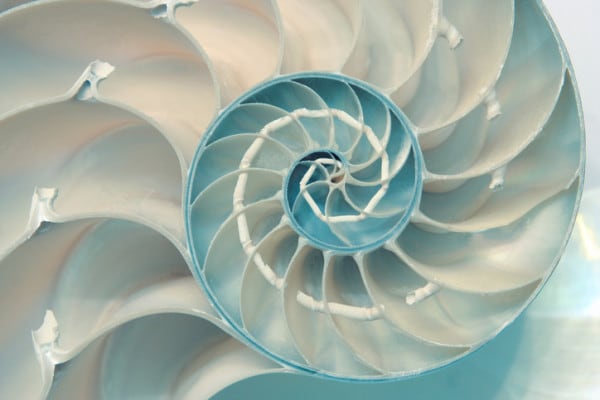 Cos'è la sequenza di Fibonacci: significato e formula