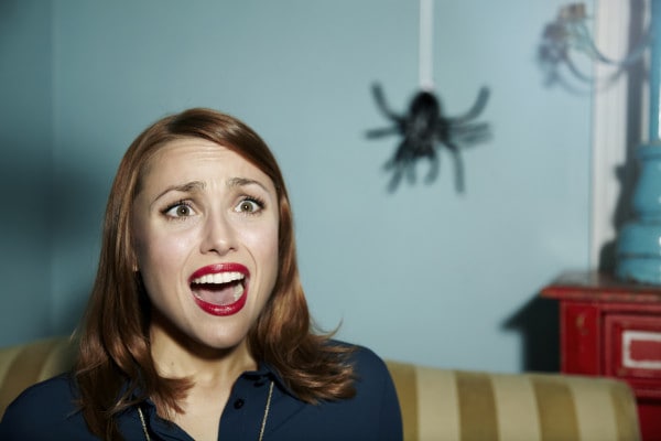 La paura dei ragni: le cause dell'aracnofobia spiegate in un video