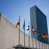 Cos'è e come funziona l'Organizzazione delle Nazioni Unite