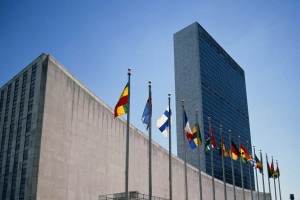 Cos'è e come funziona l'ONU