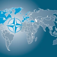 Che cos'è la NATO: Paesi membri e sistema delle alleanze