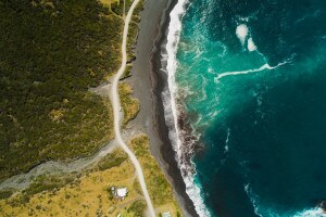 Giornata mondiale dell'ambiente 2022: cosa si celebra il 5 giugno