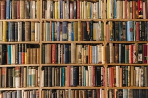 La letteratura tra '800 e '900 conosce diverse correnti letterarie