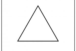 Come calcolare l'ampiezza degli angoli di un triangolo rettangolo