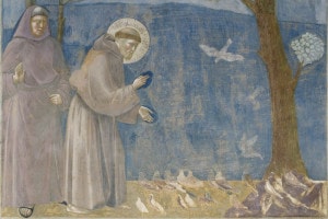 Basilica superiore di San Francesco d'Assisi. La predica agli Uccelli, particolare dalle Storie di San Francesco, ciclo di affreschi di Giotto