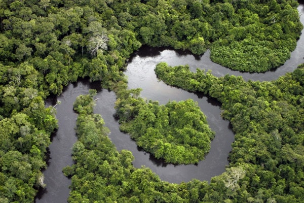Foresta amazzonica: ricerca sull'Amazzonia