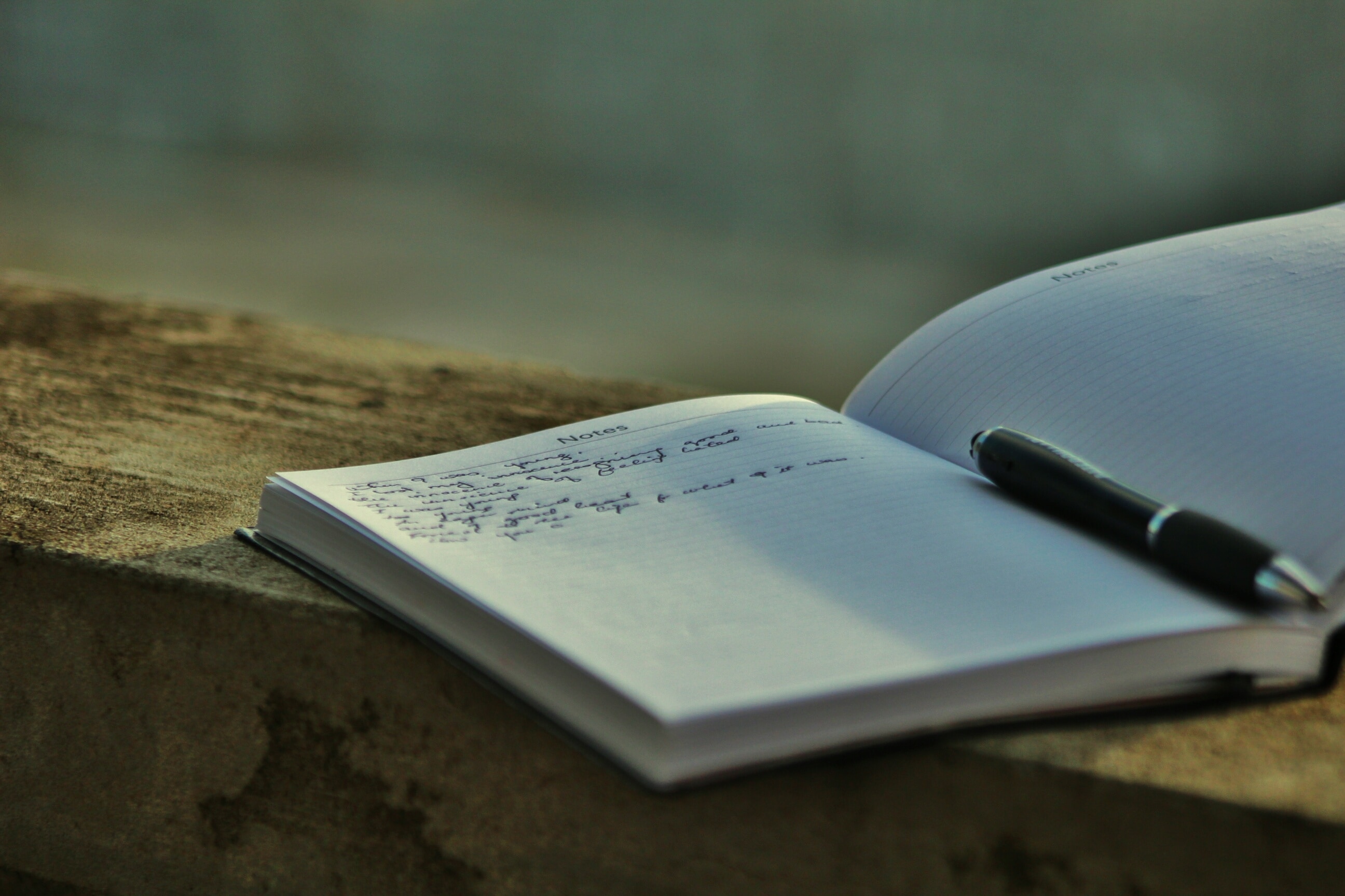 Sturm und Drang significato e caratteristiche Studenti.it