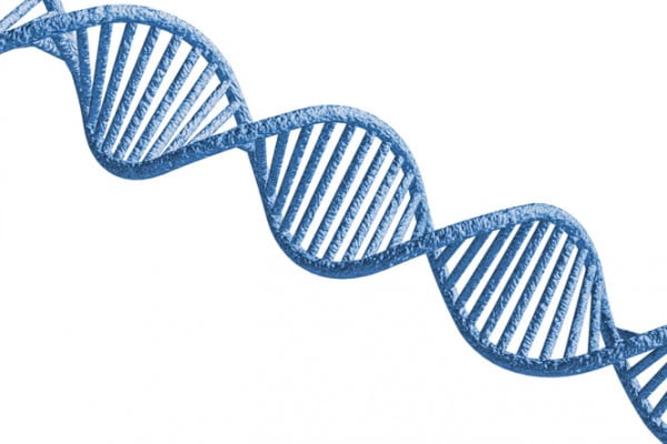 Il genoma umano: cos'è e quanto è lungo? Scoprilo qui