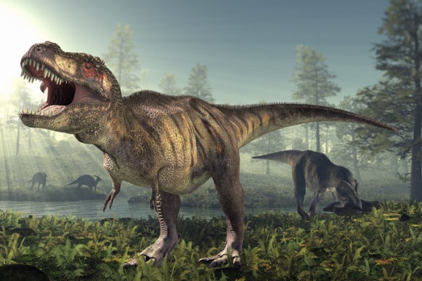 Sapevi che i tirannosauri sono più vicini agli smartphone che agli stegosauri?