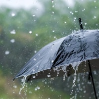 Confronto tra La pioggia nel pineto e Piove