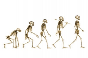 Prima e dopo Darwin: biologia ed evoluzione degli esseri viventi