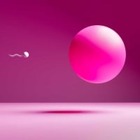 Gli spermatozoi negli uomini diminuiscono, il declino accelera. Cosa accadrà al genere umano?