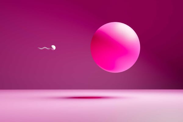 Gli spermatozoi negli uomini diminuiscono, il declino accelera. Cosa accadrà al genere umano?