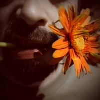 L'uomo dal fiore in bocca: analisi