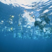 Inquinamento del mare: riassunto, cause e conseguenze