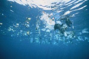 Inquinamento del mare: quali sono le cause?
