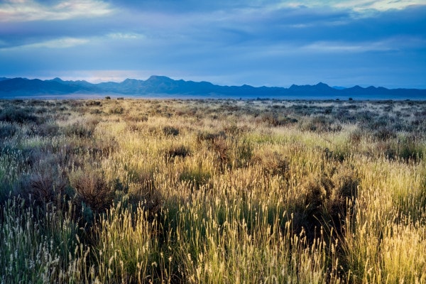 Il deserto dei tartari: significato e metafore