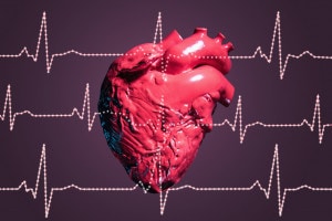Qual è la struttura del cuore?
