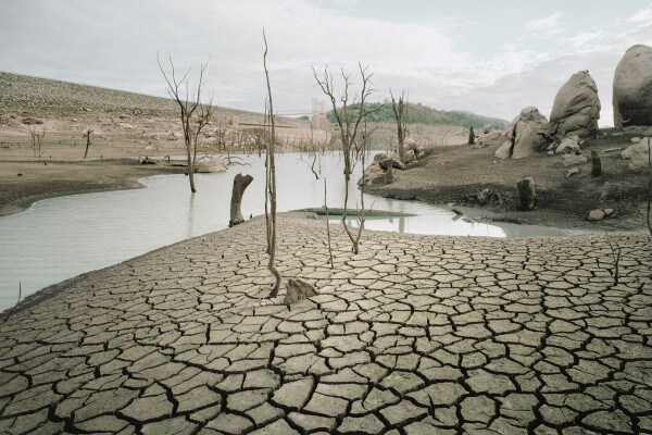 Tema sulla siccità: cause e conseguenze di questo fenomeno