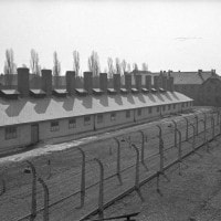 Auschwitz: cos'è, dove si trova e storia del simbolo universale dei lager