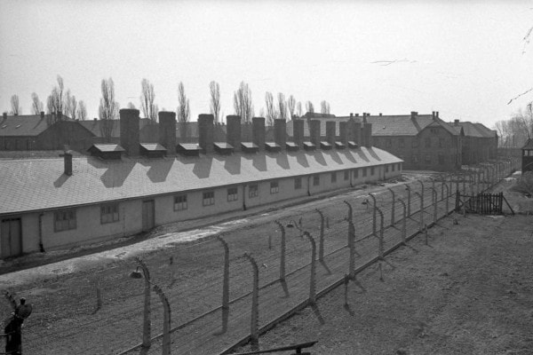 Auschwitz: cos'è, dove si trova e storia del simbolo universale dei lager