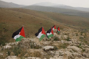 Bandiere palestinesi