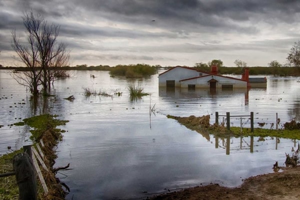 Disastri ambientali: cosa sono alluvioni, piene e inondazioni. Le cause e le conseguenze