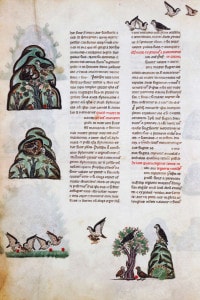 Miniatura del De arte venandi cum avibus di Federico II di Svevia, dal Codice Palatino latino 1071, XIII secolo.
