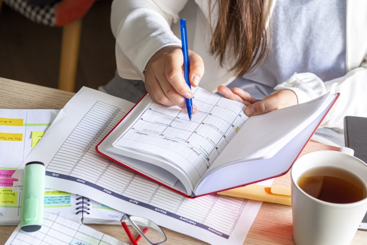 Calendario scolastico 2024/2025 nazionale e regionale: date, ponti e quando non si va a scuola