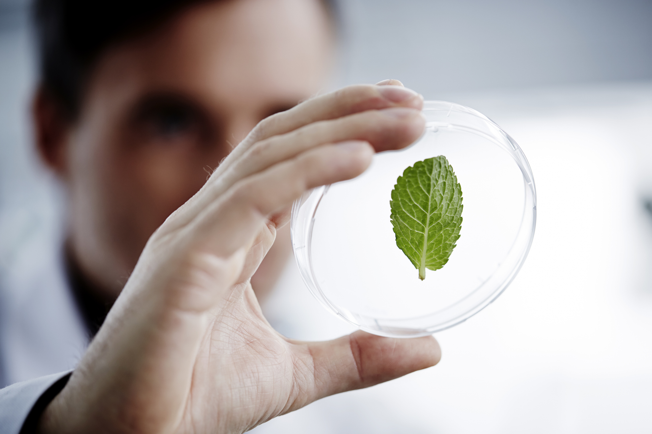 Scienze Naturali: 10 lavori che puoi fare con questa laurea | Studenti.it