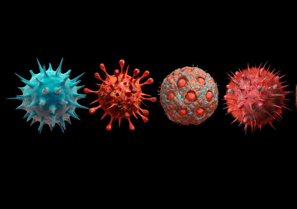 Differenza tra virus e batteri: spiegazione semplice | Studenti.it