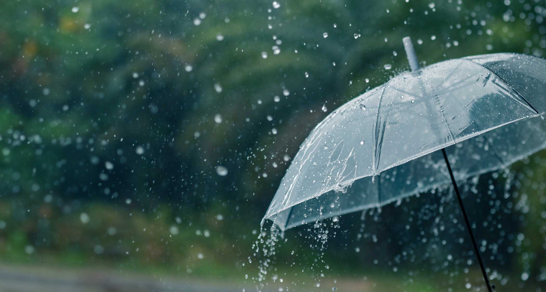 Scuole chiuse venerdì 16 maggio per allerta meteo: ecco dove | Studenti.it