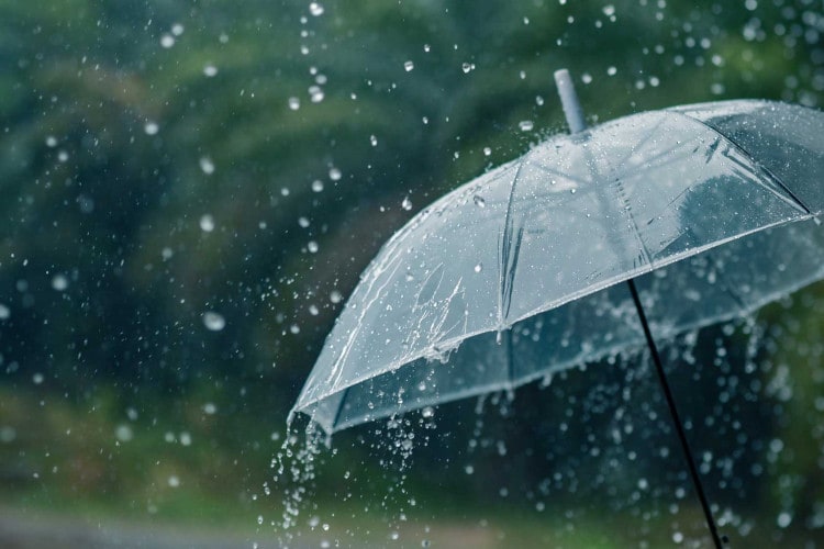 Allerta meteo, scuole chiuse per maltempo giovedì 13 febbraio: ecco dove