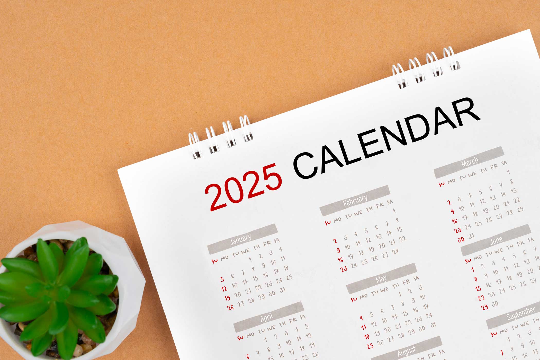 Calendario scolastico 2025: tutte le date delle vacanze, da Pasqua al